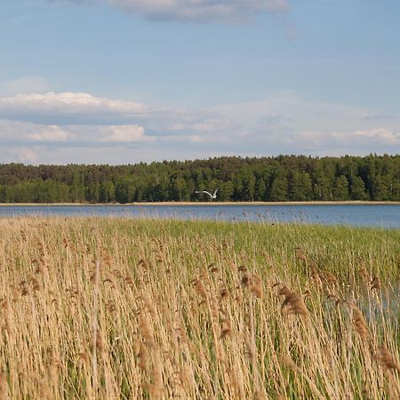 Duck Lake Villa Polatsk Luaran gambar