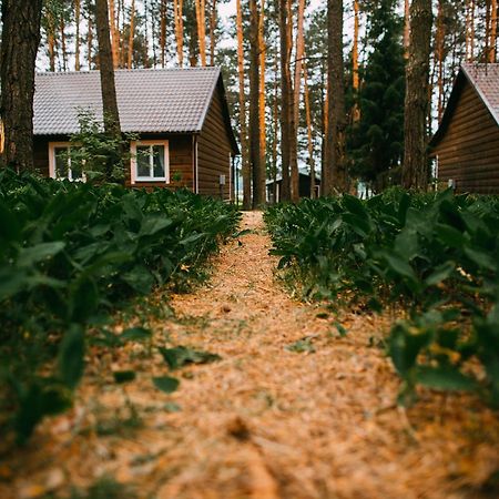 Duck Lake Villa Polatsk Luaran gambar
