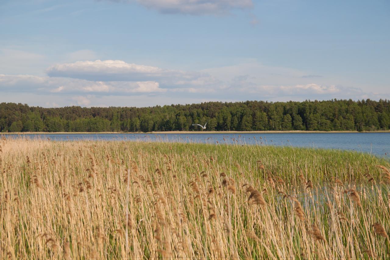 Duck Lake Villa Polatsk Luaran gambar